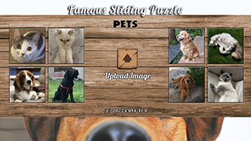 famous sliding puzzle pets